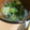 さゆゆゆこ's cooksnap of when they made 簡単☆青梗菜と春雨の中華スープ.