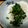 こころんち☆'s cooksnap of when they made 富山のなつかしい味☆大根菜のよごし.
