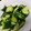 といまる子's cooksnap of when they made 簡単(’-’*)♪青じそ風味の漬物.