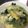 ごんすけ64's cooksnap of when they made ほっこり☆とろとろ小松菜スープ.