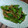 Coo1215's cooksnap of when they made 簡単！ししとう、えのきの甘炒め.
