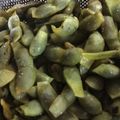 りあまっちゃ's cooksnap of when they made 黒枝豆の美味しいゆで方.