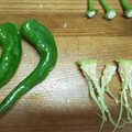 seicop2's cooksnap of when they made 万願寺シシトウ（とうがらし）の種だし方.