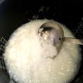 りんごぶどうばなな's cooksnap of when they made 離乳食初期から 炊飯器でおかゆ.