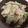 yunatan1211's cooksnap of when they made やみつき！無限はくさい.