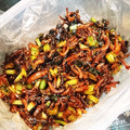 kゆかれん's cooksnap of when they made 大根の葉としらす炒め.