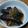 和☆2049's cooksnap of when they made ねぎ胡麻ダレde茄子の煮浸し.