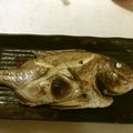 kisr1010's cooksnap of when they made 鯛の塩焼き.