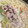 ﾌﾞﾚﾝﾀﾞ's cooksnap of when they made ＊基本の切り方＊いちょう切り（にんじん）.