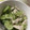 Miaaaaaaam's cooksnap of when they made ささみときゅうりの青じそ和え.