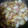 クックHX2GFD☆'s cooksnap of when they made 簡単！白菜とえのきベーコンの蒸し煮.