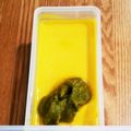 らびのゆうママ's cooksnap of when they made 簡単になめらか～＊かぼちゃプリン.