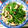 なち1225sd's cooksnap of when they made ピーマンと椎茸のバター炒め.