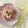 クココ♪♪'s cooksnap of when they made シャキッ☆旨！ゴボウサラダ☆(^ー^).