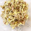 arinnkoママ's cooksnap of when they made 簡単☆無限もやし♪.