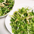 ももちゃんパンダ's cooksnap of when they made 豆苗ときのこの中華和え(レンジで).