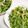 ももちゃんパンダ's cooksnap of when they made 豆苗ときのこの中華和え(レンジで).