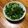 かよばぁ's cooksnap of when they made 大根の葉の浅漬け.