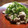 ちゃちゃまる26's cooksnap of when they made 混ぜるだけ！鯖缶マヨ柚子胡椒.