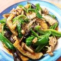 平野由南（ひらのゆな's cooksnap of when they made 茄子ピーマン豚肉のピリ辛炒め♪.