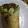 ラブリークッキー's cooksnap of when they made 簡単！クレープ 生地.