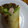 ラブリークッキー's cooksnap of when they made 簡単！クレープ 生地.