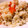 クックCA7WYY☆'s cooksnap of when they made 簡単♪炊き込みご飯☆.