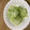 ryousi's cooksnap of when they made はやとうりの浅漬け＆炒め物♪.
