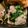 kyamberu's cooksnap of when they made ほうれん草のマヨベーコン☆お弁当にも☆.