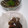 ぼっさ's cooksnap of when they made くじらの竜田揚げ＠サクサクッ！！.