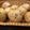 らっこ☆'s cooksnap of when they made 秋の味覚＊ごまとおさつのぱん.