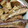 クック7FNN0F☆'s cooksnap of when they made 簡単　ホウボウの煮付け.