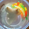 クックZCBM29☆'s cooksnap of when they made 生！にんにく、しょうが の保存.