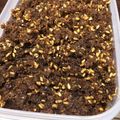 卵せんべい's cooksnap of when they made 手作り　かつおふりかけ.