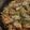 ⭐つきあかり⭐'s cooksnap of when they made フライパンで！鮭ときのこのパスタパエリア.