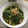 yuminan47k's cooksnap of when they made 小松菜と油揚げの煮びたし.