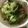 クックノンパパ's cooksnap of when they made 白菜で洋風いため.
