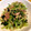 いくちゃん♪♪'s cooksnap of when they made 水菜ツナ缶のゴマあえ♪簡単.