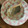 クック1FX93J☆'s cooksnap of when they made 漬けて焼くだけ さごしの西京漬.