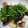 かもしれない森's cooksnap of when they made 茄子とエリンギの油炒め.