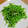 なつ姉's cooksnap of when they made 中華の定番☆空芯菜炒め。.