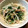 ばたみそーぱん☆'s cooksnap of when they made おかひじきとささみのカラシマヨ和え.