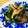 ジュスカ's cooksnap of when they made ぶなしめじ春菊牛肉のオイスターソース炒め.
