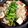 crystaI's cooksnap of when they made もつ鍋（さっぱり醤油風味）.