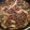 クックLAQWJC☆'s cooksnap of when they made 甘辛❣牛肉ごぼうのしぐれ煮✨.