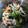 ☆kekkoo☆'s cooksnap of when they made 備忘録 三杯酢 胡瓜とワカメの酢の物.