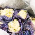 Munchkin's　Mom's cooksnap of when they made うまみ溢れる紫白菜シュウマイ.