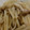 クックEUGGGX☆'s cooksnap of when they made ジャガイモとしめじのバター醤油炒め.