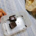 アボたま's cooksnap of when they made 低糖質☆濃厚豆腐ブラウニー.