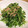 ねみねみ's cooksnap of when they made 簡単!!豆苗とツナの醤油炒め.